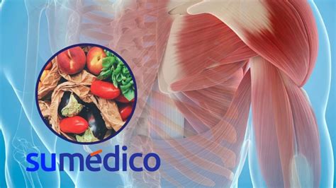 5 Alimentos En La Cena Para Ganar Masa Muscular Su Médico