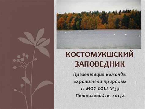 Костомукшский заповедник - презентация онлайн
