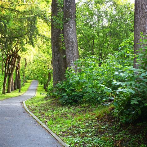 8 Long Island Hiking Trails Great For The Fall 🥾 — The Long Island Wave