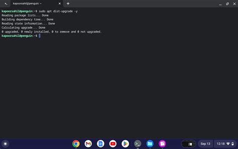 How To Update And Upgrade Linux On Your Chromebook