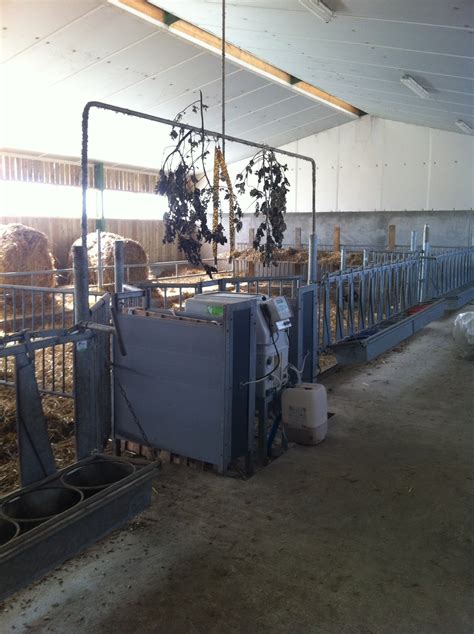 Dal Milker Orvalex Distributeur Automatique De Lait