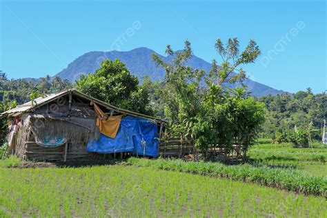 Rustic Shelter Background Images Hd Pictures And Wallpaper For Free