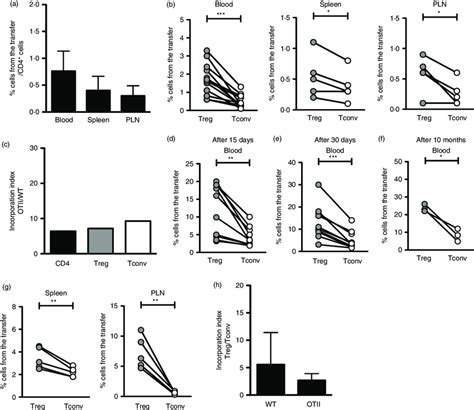 Regulatory T Treg Cells Are Preferentially Incorporated When