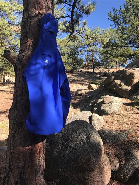 Springer Gulch Camping The Dyrt