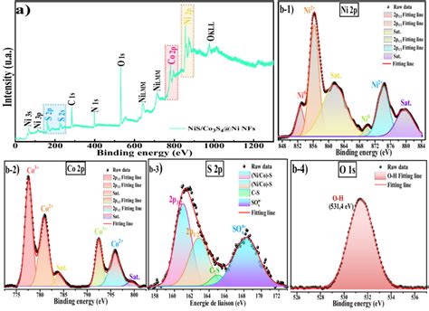 A Xps Survey Spectrum And B High Resolution Xps Spectra Of Ni P