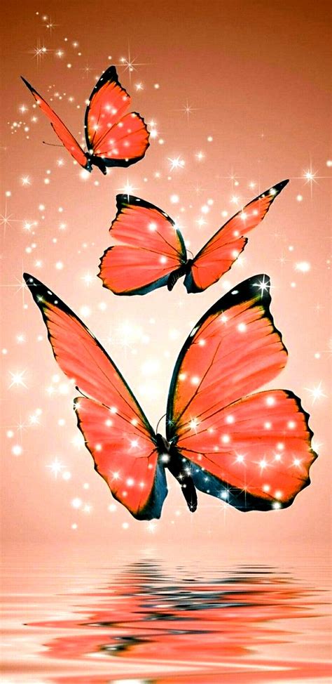 Update Orange Butterfly Wallpaper Super Hot In Coedo Vn