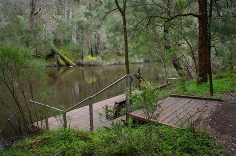 Spend A Weekend At Warren River National Park In Pemberton