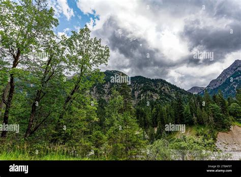 Großer Alpsee das vielseitige Naturerlebnis im Oberallgäu der Große