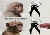 Neuron Activation Know Your Meme