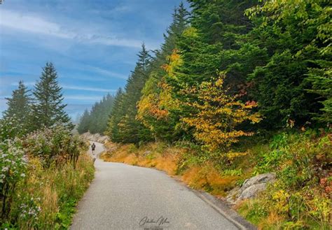 Top 5 Trails to See Fall Foliage in the Great Smoky Mountains