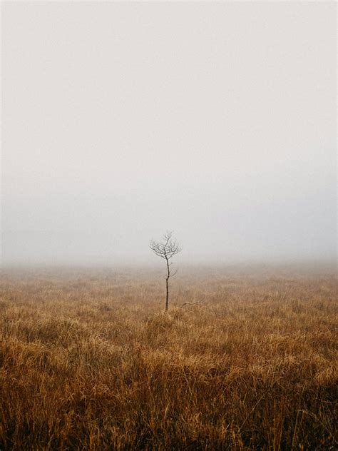 Solitude Silence And Stillness