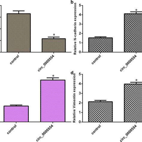 Circ Promoted Ovarian Tumor Cell Cycle And Growth Via Sponging