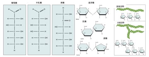 二、游离糖摄入过多对儿童的危害