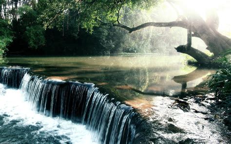 Amazon River Wallpaper - Nature Wallpaper