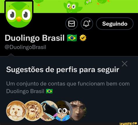 Seguindo to Duolingo Brasil ODuolingoBrasil Sugestões de perfis para