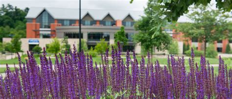 Blugold Fellowship | UW-Eau Claire