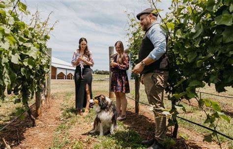 Wine Wildlife And Vineyard Tour Ultimate Winery Experiences Australia