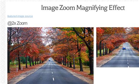 How To Code An Image Zoom Hover Display With Jquery Fribly