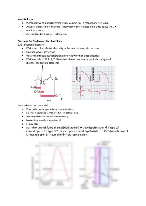 Notes and Diagrams Cardiovascular Physiology | LSB258 - Principles of ...