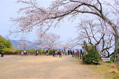 『観月舞台のリフレクションが見たくて桜風景が美しい三井寺へ！』大津滋賀県の旅行記・ブログ By Akikoさん【フォートラベル】