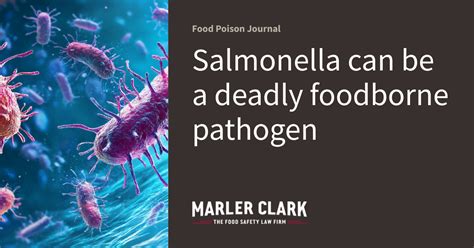 Salmonella can be a deadly foodborne pathogen | Food Poison Journal