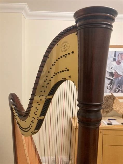 Catherine on Twitter: "RT @HarpMarketplace: 47 string Concert Grand ...