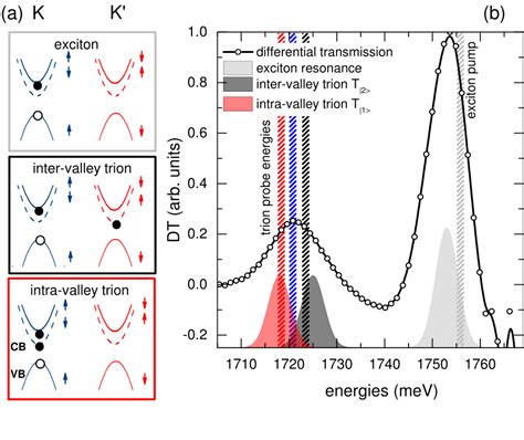 A Possible Configurations Of Charged And Neutral Bright Excitons In