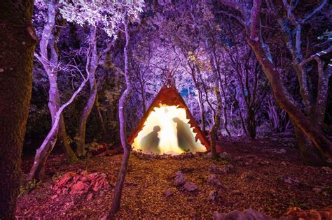 Les Nocturnes de Chauvet Grotte Chauvet 2 Ardèche