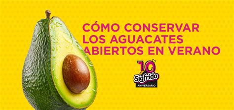 Cómo conservar los aguacates abiertos en verano Sigfrido Fruit