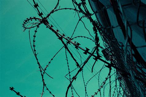 Corrlinks Leak: The Timeline That's Rocking The Prison System Image 18