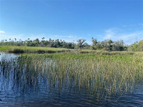 Withlacoochee Aquatic Restoration Inc Withlacoochee River