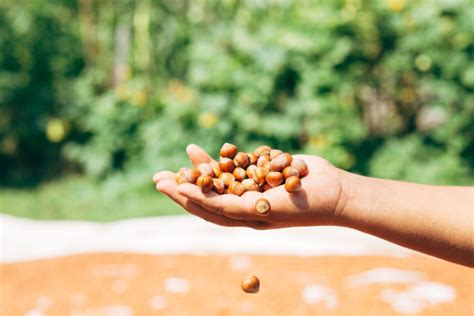 Aide financière pour les agriculteurs biologiques un délai