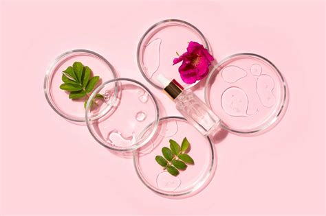 Rose musquée pour une peau sans imperfections Alviolor