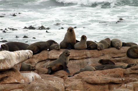 Namaqua National Park Sights & Attractions - Project Expedition