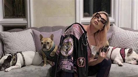 La Mujer Que Robó Los Perros A Lady Gaga Y Luego Se Los Devolvió Demanda A La Cantante Por No