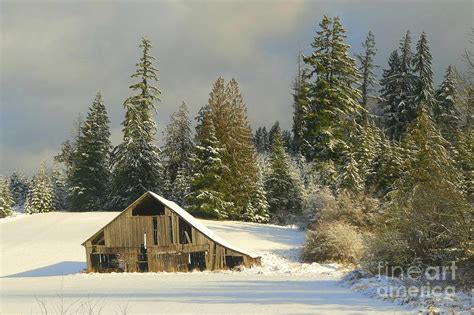 Old Barn In Winter Photograph By Winston Rockwell Fine Art America