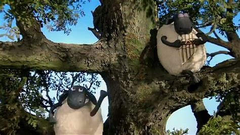 Shaun The Sheep Season 01 Episode 40 Save The Tree Watch Shaun The