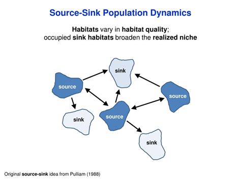 PPT - Population Ecology: Population Dynamics PowerPoint Presentation, free download - ID:6553513