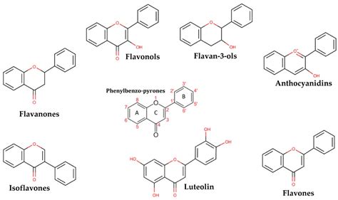 Ijms Free Full Text Anti Inflammatory And Proliferative Properties