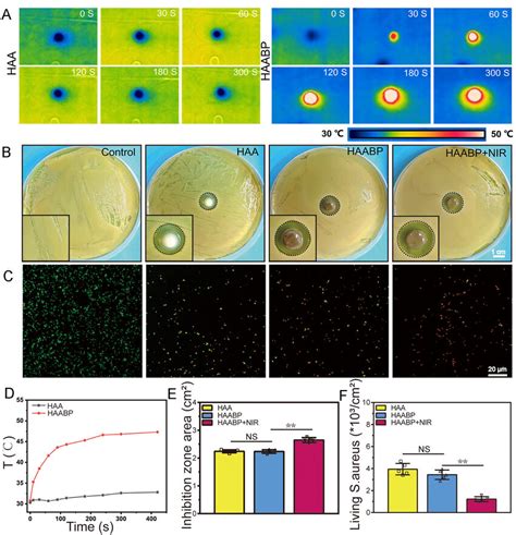 The Photothermal Effect And Antibacterial Properties Of The HAABP