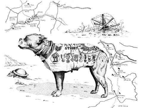 La Historia De Stubby El Perro Más Condecorado De La Gran Guerra Que