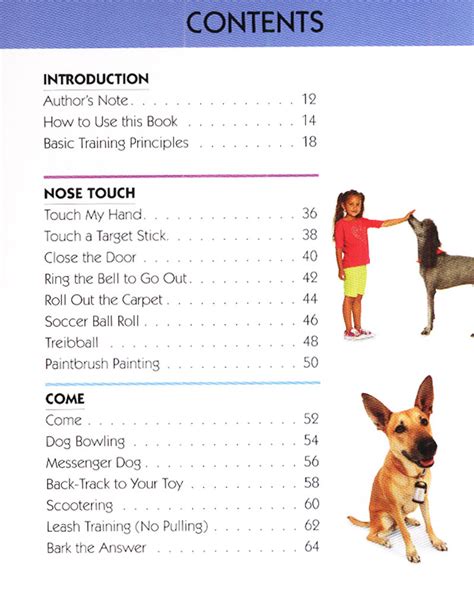 The Pocket Guide to Dog Tricks: 101 Activities to Engage, Challenge ...