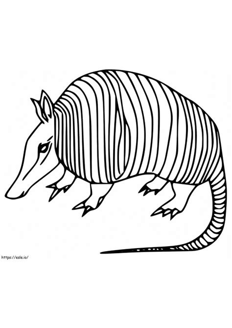 Page 2 Armadillo Coloring Coloring Pages Free Printable Coloring