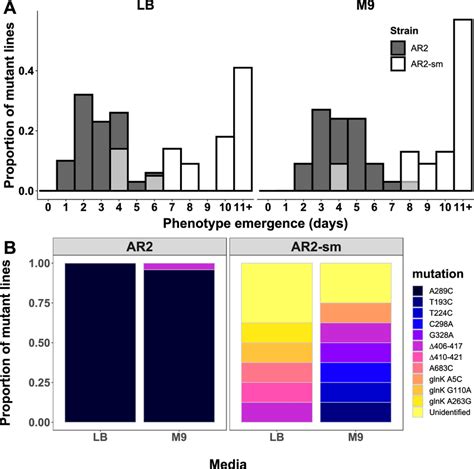 A Synonymous Sequence Mutant Ar Sm Confers A Loss Of Repeatable