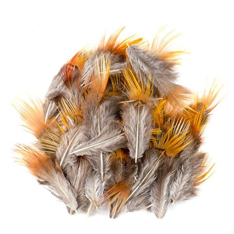 Plumas de gallo de faisán Natural 100 piezas 5 8cm pequeñas para