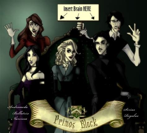 Andromda Bellatrix And Narcissa Sirius And Regulus The Black Cousins Harry Potter Villains