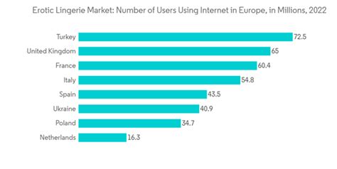 Erotic Lingerie Market Share Analysis Industry Trends And Statistics