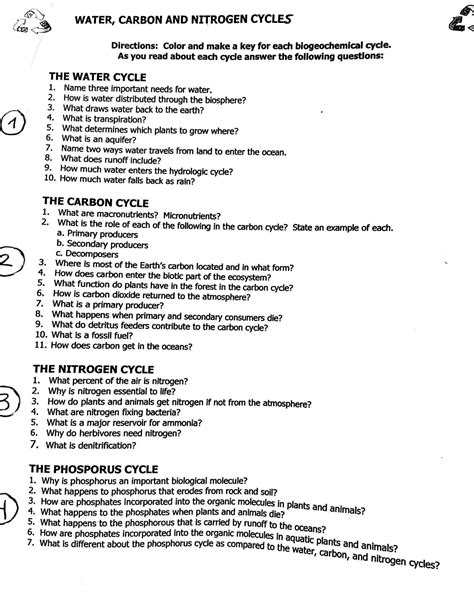 Nutrient Cycles Worksheet Answers Artofit