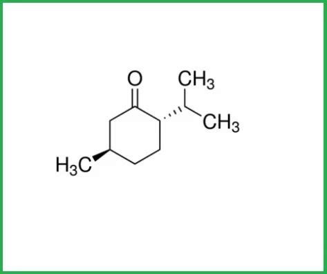 Menthone - Menthone 90 :10 Manufacturer from Gautam Budh Nagar