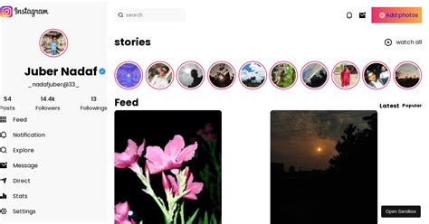 Instagram Clone Using Html And Css Codesandbox